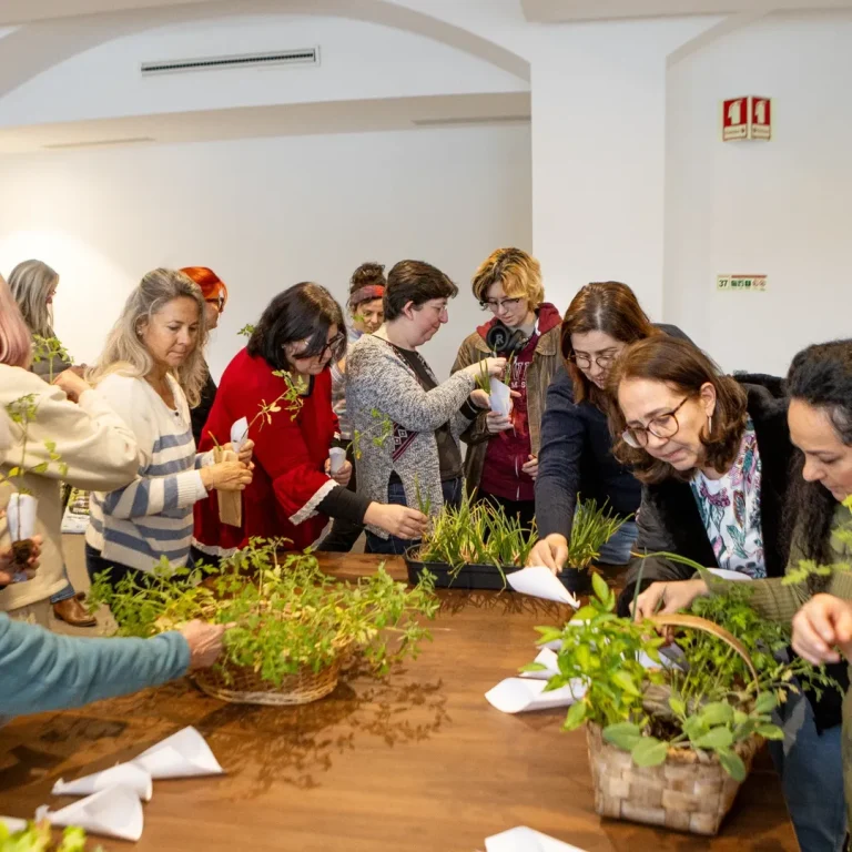 🌿 O Planto Terapia foi daqueles eventos que se sentiram a todos os níveis- em conexão, em ener-12
