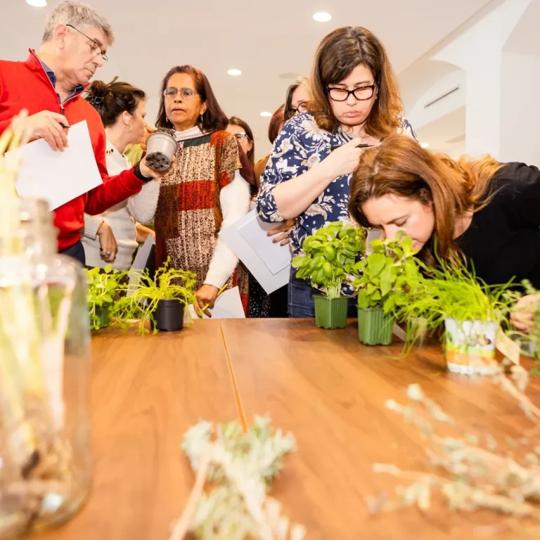🌿 O Planto Terapia foi daqueles eventos que se sentiram a todos os níveis- em conexão, em ener-8